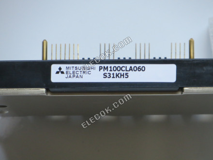 IPM PM100CLA060 