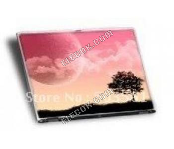 IAQX10N Idtech 15.0" A-si TFT-LCD Panel 