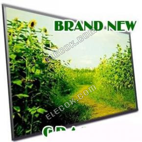 LCD SCREEN DISPLAY LED PANEL GLOSSY HP MINI 1000 1100 LAP BT101IW02 