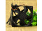 AVC DATA1238B4H 24V 0.50A 3wires cooling fan 
