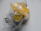TURCK BI25-G47SR-VP4X2 Inductive 近接センサー