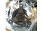 Fan GW10C12MS1C9-57Z321 