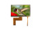 NHD-7.0-800480EF-ASXN#-T Newhaven Display TFT Displays &amp; Accessoires 7" Sunlight Readable TFT MVA Resis Tactile 