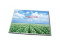 N156B3-LOB LCD SCREEN LAP LCD MODULE, 15.6" LAP LCD SCREEN 