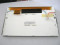 LQ080Y5DG02 SHARP 8.0" A-si TFT-LCD Panel 