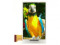43WVF3A SII 4,3" a-Si TFT-LCD Panel 